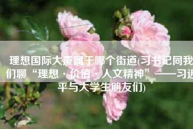 理想国际大厦属于哪个街道(习书记同我们聊“理想·价值·人文精神”——习近平与大学生朋友们)