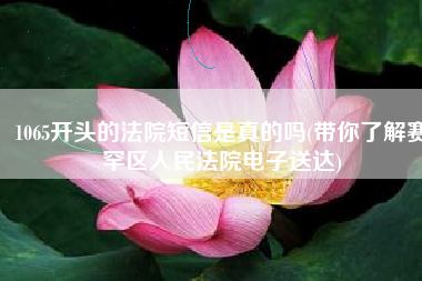 1065开头的法院短信是真的吗(带你了解赛罕区人民法院电子送达)