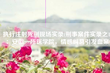 执行注射死刑现场实录(刑事案件实录之15：安徽一所医学院，情感纠葛引发血案)