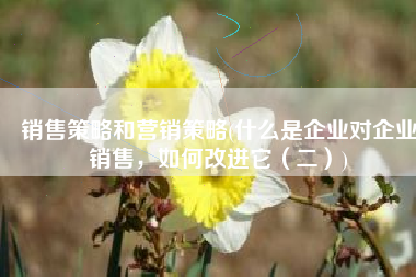 销售策略和营销策略(什么是企业对企业销售，如何改进它（二）)