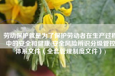 劳动保护就是为了保护劳动者在生产过程中的安全和健康(安全风险辨识分级管控体系文件（全套管理制度文件）)