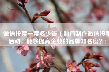 微信投票一票多少钱（如何制作微信投票活动，能够提高企业的品牌知名度？)