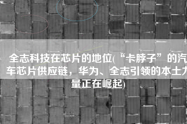 全志科技在芯片的地位(“卡脖子”的汽车芯片供应链，华为、全志引领的本土力量正在崛起)