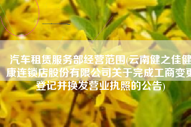 汽车租赁服务部经营范围(云南健之佳健康连锁店股份有限公司关于完成工商变更登记并换发营业执照的公告)