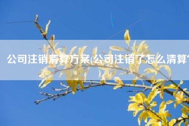 公司注销清算方案(公司注销了怎么清算？)