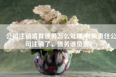 公司注销清算债务怎么处理(有限责任公司注销了，债务谁负责？)