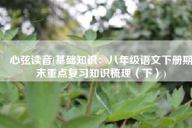 心弦读音(基础知识：八年级语文下册期末重点复习知识梳理（下）)
