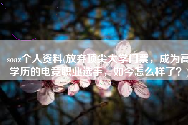 soaz个人资料(放弃顶尖大学门票，成为高学历的电竞职业选手，如今怎么样了？)