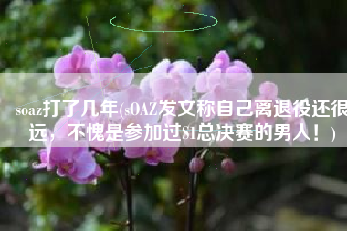 soaz打了几年(sOAZ发文称自己离退役还很远，不愧是参加过S1总决赛的男人！)