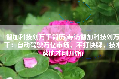 智加科技刘万千简历(专访智加科技刘万千：自动驾驶万亿市场，不打快牌，技术落地才刚开始)