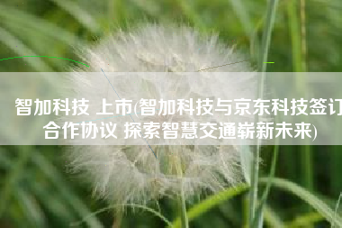智加科技 上市(智加科技与京东科技签订合作协议 探索智慧交通崭新未来)