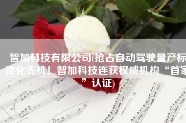 智加科技有限公司(抢占自动驾驶量产标准化先机！智加科技连获权威机构“首家”认证)