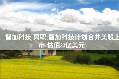 智加科技 离职(智加科技计划合并美股上市 估值33亿美元)