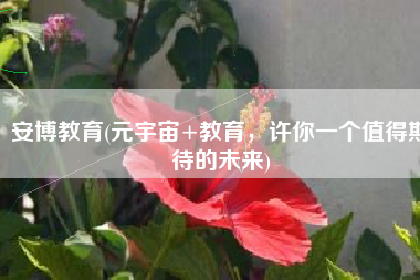 安博教育(元宇宙+教育，许你一个值得期待的未来)