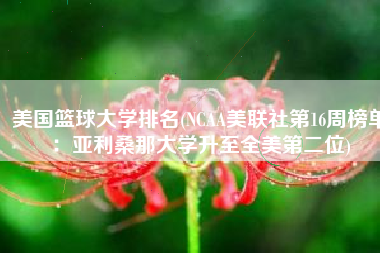 美国篮球大学排名(NCAA美联社第16周榜单：亚利桑那大学升至全美第二位)