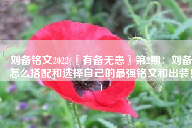 刘备铭文2022(〖有备无患〗第2期：刘备怎么搭配和选择自己的最强铭文和出装！)