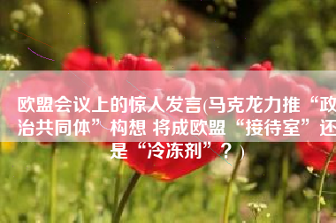 欧盟会议上的惊人发言(马克龙力推“政治共同体”构想 将成欧盟“接待室”还是“冷冻剂”？)