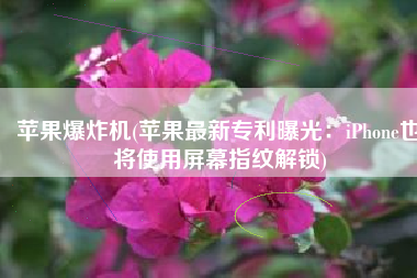 苹果爆炸机(苹果最新专利曝光：iPhone也将使用屏幕指纹解锁)