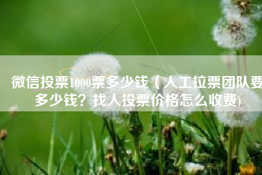 微信投票1000票多少钱（人工拉票团队要多少钱？找人投票价格怎么收费)