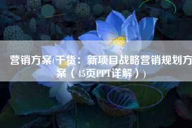 营销方案(干货：新项目战略营销规划方案（45页PPT详解）)