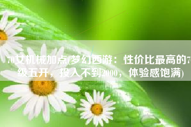 70女机械加点(梦幻西游：性价比最高的70级五开，投入不到2000，体验感饱满)