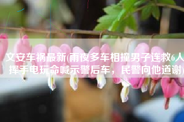 文安车祸最新(雨夜多车相撞男子连救6人，挥手电玩命喊示警后车，民警向他道谢)