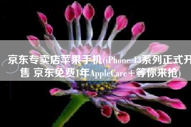 京东专卖店苹果手机(iPhone 13系列正式开售 京东免费1年AppleCare+等你来抢)