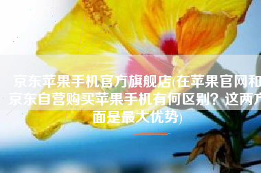 京东苹果手机官方旗舰店(在苹果官网和京东自营购买苹果手机有何区别？这两方面是最大优势)