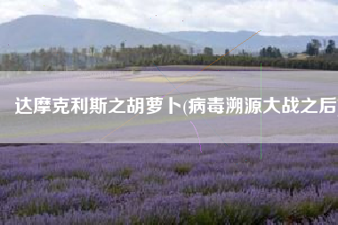 达摩克利斯之胡萝卜(病毒溯源大战之后)