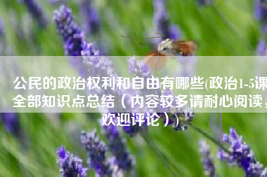 公民的政治权利和自由有哪些(政治1-5课全部知识点总结（内容较多请耐心阅读，欢迎评论）)