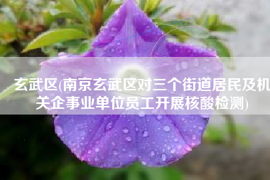 玄武区(南京玄武区对三个街道居民及机关企事业单位员工开展核酸检测)
