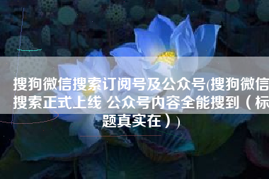 搜狗微信搜索订阅号及公众号(搜狗微信搜索正式上线 公众号内容全能搜到（标题真实在）)