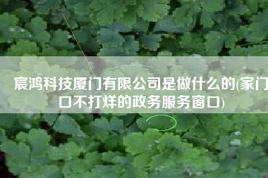 宸鸿科技厦门有限公司是做什么的(家门口不打烊的政务服务窗口)