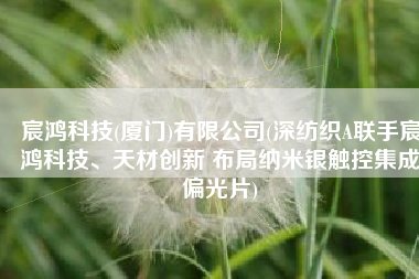 宸鸿科技(厦门)有限公司(深纺织A联手宸鸿科技、天材创新 布局纳米银触控集成偏光片)