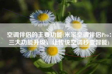 空调伴侣的主要功能(米家空调伴侣Pro：三大功能升级，让传统空调秒变智能)