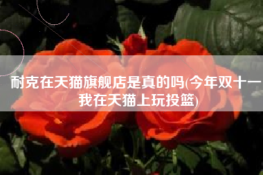 耐克在天猫旗舰店是真的吗(今年双十一，我在天猫上玩投篮)