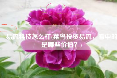 易流科技怎么样(菜鸟投资易流，看中的是哪些价值？)