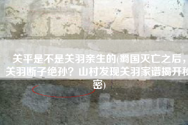 关平是不是关羽亲生的(蜀国灭亡之后，关羽断子绝孙？山村发现关羽家谱揭开秘密)