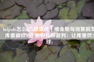 brigade怎么记(键盘侠｜维金斯每场赛前发库里被吹T图 泡椒私聊裁判：让库里罚2球)