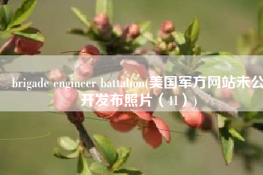 brigade engineer battalion(美国军方网站未公开发布照片（41）)