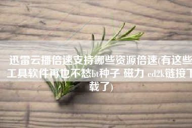 迅雷云播倍速支持哪些资源倍速(有这些工具软件再也不愁bt种子 磁力 ed2k链接下载了)