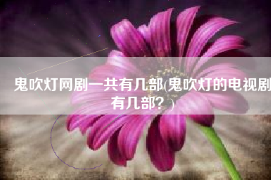 鬼吹灯网剧一共有几部(鬼吹灯的电视剧有几部？)