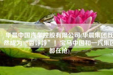 华晨中国汽车控股有限公司(华晨集团既然成为“香饽饽”！宝马中国和一汽集团都在抢)