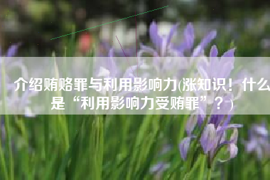 介绍贿赂罪与利用影响力(涨知识！什么是“利用影响力受贿罪”？)
