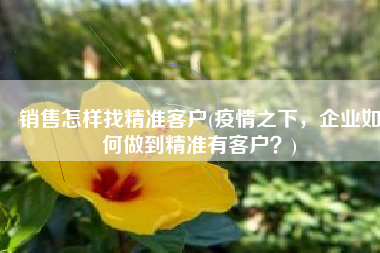 销售怎样找精准客户(疫情之下，企业如何做到精准有客户？)