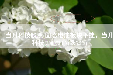 当升科技股票(固态电池板块下挫，当升科技(300073.CN)跌5.2%)