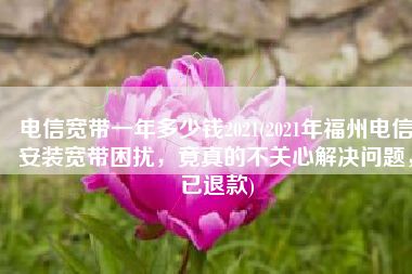 电信宽带一年多少钱2021(2021年福州电信安装宽带困扰，竟真的不关心解决问题，已退款)