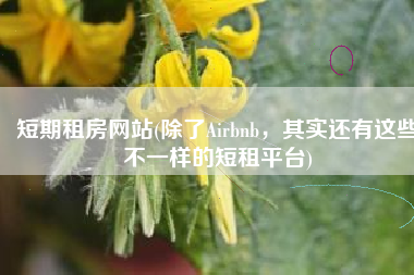 短期租房网站(除了Airbnb，其实还有这些不一样的短租平台)