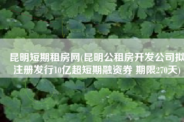 昆明短期租房网(昆明公租房开发公司拟注册发行10亿超短期融资券 期限270天)