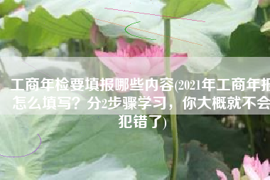 工商年检要填报哪些内容(2021年工商年报怎么填写？分2步骤学习，你大概就不会犯错了)